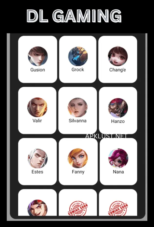 DL Gaming Injector